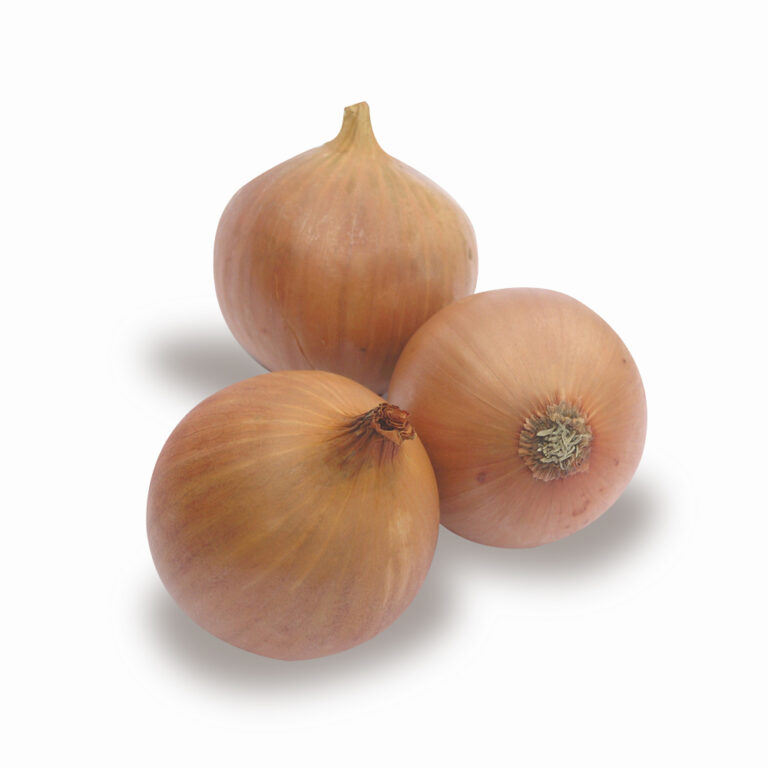 Yellow Onions Seasonal Produce (S) Pte Ltd