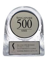 Singapore SME 500 Sales Turnover Excellence Award